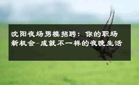 沈阳夜场男模招聘：你的职场新机会-成就不一样的夜晚生活 