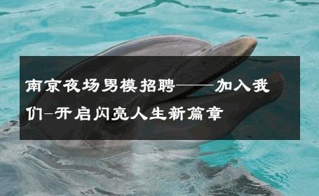 南京夜场男模招聘——加入我们-开启闪亮人生新篇章 