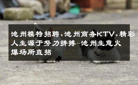 池州模特招聘,池州商务KTV,精彩人生源于努力拼搏-池州生意火爆场所直招