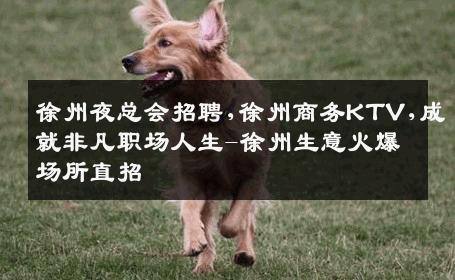 徐州夜总会招聘,徐州商务KTV,成就非凡职场人生-徐州生意火爆场所直招