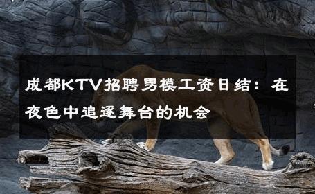成都KTV招聘男模工资日结：在夜色中追逐舞台的机会 