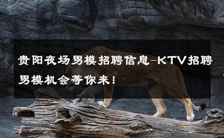贵阳夜场男模招聘信息-KTV招聘男模机会等你来！ 