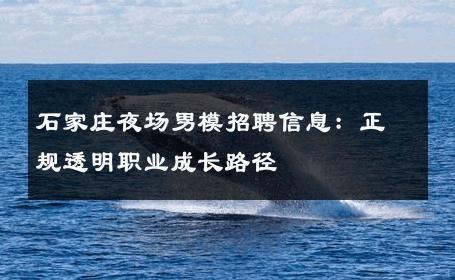 石家庄夜场男模招聘信息：正规透明职业成长路径 
