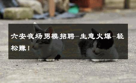六安夜场男模招聘-生意火爆-轻松赚！ 