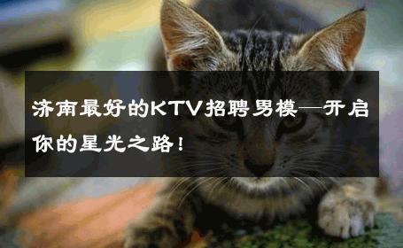 济南最好的KTV招聘男模—开启你的星光之路！ 