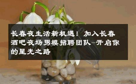 长春夜生活新机遇！加入长春酒吧夜场男模招聘团队-开启你的星光之路 