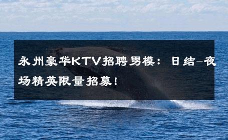 永州豪华KTV招聘男模：日结-夜场精英限量招募！ 