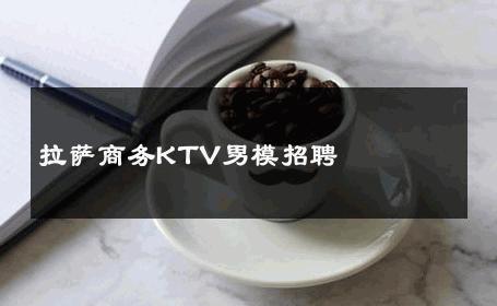 拉萨商务KTV男模招聘 