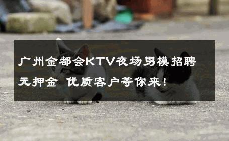 广州金都会KTV夜场男模招聘—无押金-优质客户等你来！ 