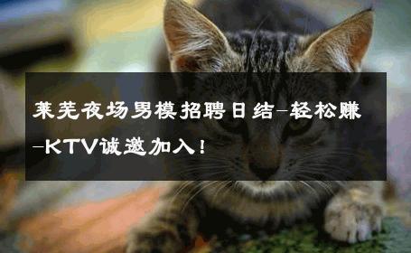 莱芜夜场男模招聘日结-轻松赚-KTV诚邀加入！ 