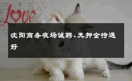 沈阳商务夜场诚聘,无押金待遇好 