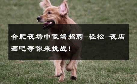 合肥夜场中低端招聘-轻松-夜店酒吧等你来挑战！ 