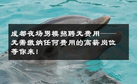 成都夜场男模招聘无费用——无需缴纳任何费用的高薪岗位等你来！ 