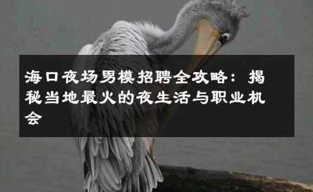 海口夜场男模招聘全攻略：揭秘当地最火的夜生活与职业机会 