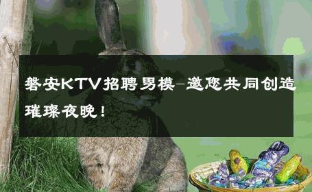磐安KTV招聘男模-邀您共同创造璀璨夜晚！ 
