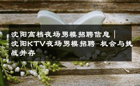 沈阳高档夜场男模招聘信息｜沈阳KTV夜场男模招聘-机会与挑战并存 
