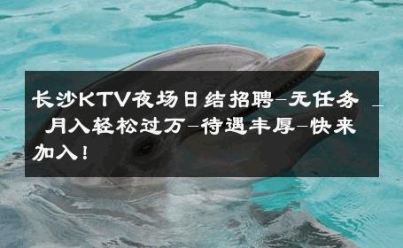 长沙KTV夜场日结招聘-无任务 _ 月入轻松过万-待遇丰厚-快来加入！ 