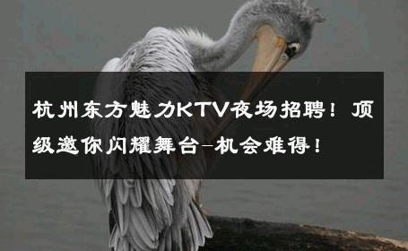 杭州东方魅力KTV夜场招聘！顶级邀你闪耀舞台-机会难得！ 