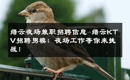 缙云夜场兼职招聘信息-缙云KTV招聘男模：夜场工作等你来挑战！ 