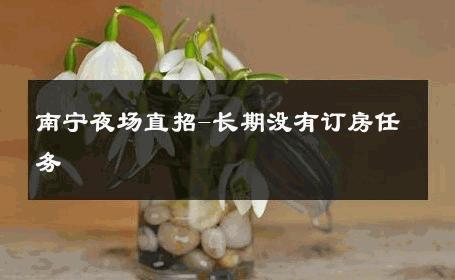 南宁夜场直招-长期没有订房任务 
