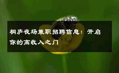 桐庐夜场兼职招聘信息：开启你的高收入之门 