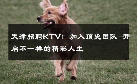 天津招聘KTV：加入顶尖团队-开启不一样的精彩人生 