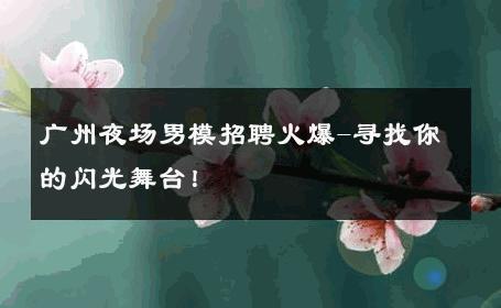 广州夜场男模招聘火爆-寻找你的闪光舞台！ 
