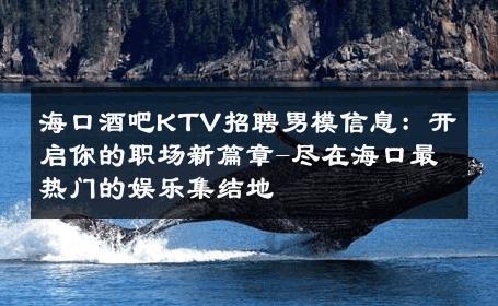 海口酒吧KTV招聘男模信息：开启你的职场新篇章-尽在海口最热门的娱乐集结地 