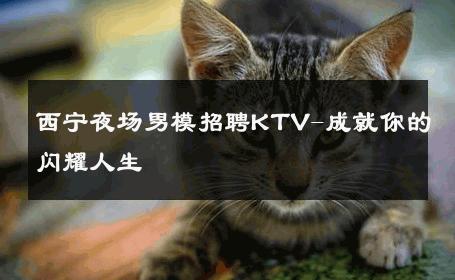 西宁夜场男模招聘KTV-成就你的闪耀人生 