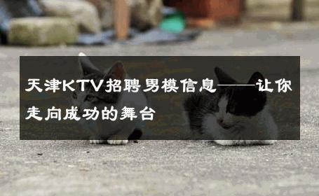 天津KTV招聘男模信息——让你走向成功的舞台 