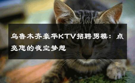 乌鲁木齐豪华KTV招聘男模：点亮您的夜空梦想 