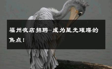 福州夜店招聘-成为星光璀璨的焦点！ 