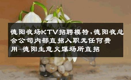 德阳夜场KTV招聘模特,德阳夜总会公司内部直招入职无任何费用-德阳生意火爆场所直招