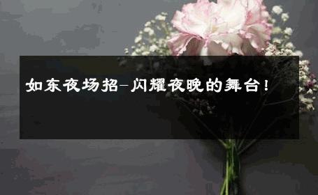 如东夜场招-闪耀夜晚的舞台！ 