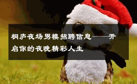 桐庐夜场男模招聘信息——开启你的夜晚精彩人生 