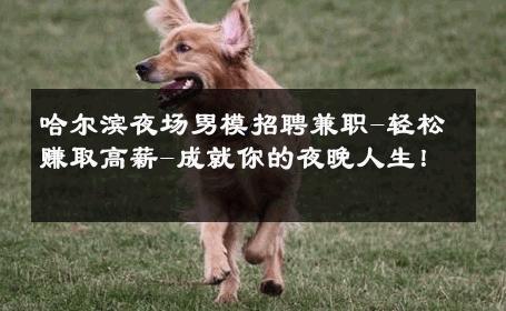 哈尔滨夜场男模招聘兼职-轻松赚取高薪-成就你的夜晚人生！ 