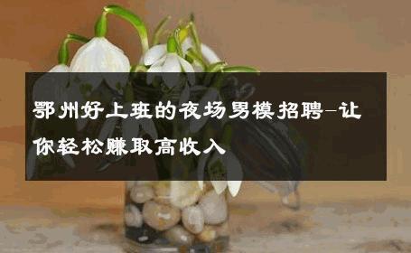 鄂州好上班的夜场男模招聘-让你轻松赚取高收入 