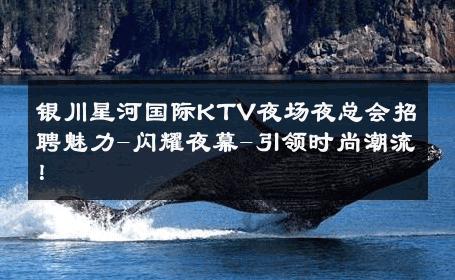 银川星河国际KTV夜场夜总会招聘魅力-闪耀夜幕-引领时尚潮流！ 