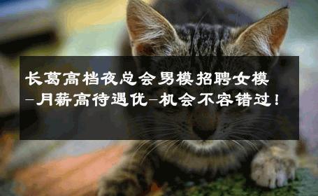 长葛高档夜总会男模招聘女模-月薪高待遇优-机会不容错过！ 