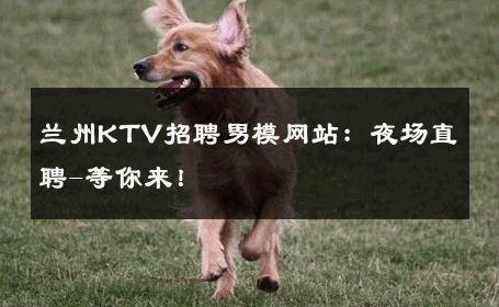 兰州KTV招聘男模网站：夜场直聘-等你来！ 