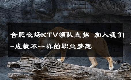 合肥夜场KTV领队直招-加入我们-成就不一样的职业梦想 