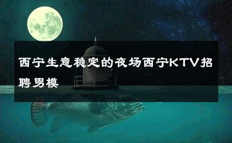 西宁生意稳定的夜场西宁KTV招聘男模 