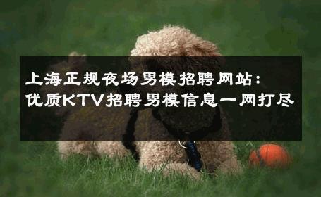 上海正规夜场男模招聘网站：优质KTV招聘男模信息一网打尽 
