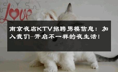 南京夜店KTV招聘男模信息：加入我们-开启不一样的夜生活！ 