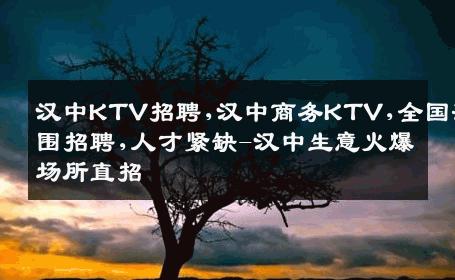 汉中KTV招聘,汉中商务KTV,全国范围招聘,人才紧缺-汉中生意火爆场所直招