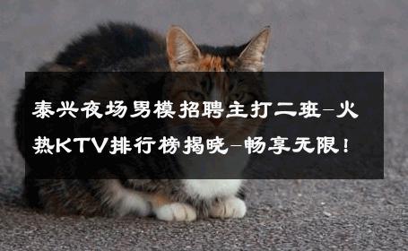 泰兴夜场男模招聘主打二班-火热KTV排行榜揭晓-畅享无限! 