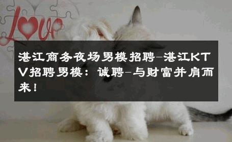 湛江商务夜场男模招聘-湛江KTV招聘男模：诚聘-与财富并肩而来！ 
