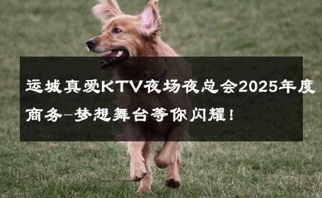 运城真爱KTV夜场夜总会2025年度商务-梦想舞台等你闪耀！ 