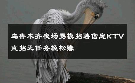 乌鲁木齐夜场男模招聘信息KTV直招无任务轻松赚 