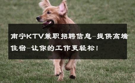 南宁KTV兼职招聘信息-提供高端住宿-让你的工作更轻松！ 